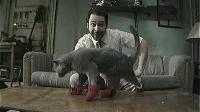 Click to watch 'Paddys Pub: Home of the...' (popup) Its Always Sunny In Philadelphia